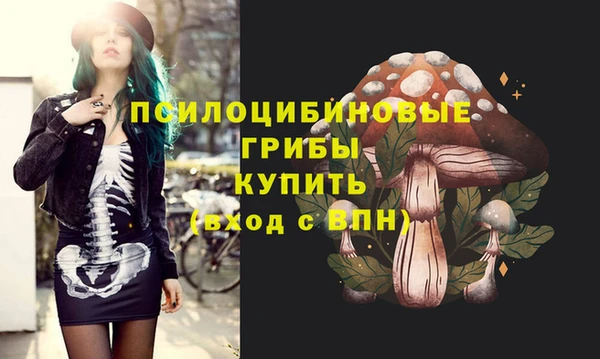 мдма Богородицк