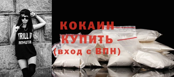 apvp Рославль