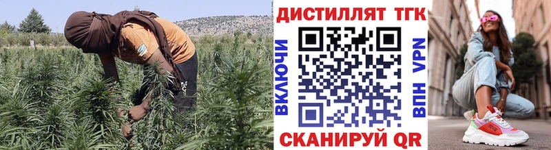 MEGA как войти  купить наркотики сайты  Дно  ТГК гашишное масло 