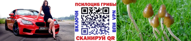 купить закладку  Дно  Галлюциногенные грибы мухоморы 